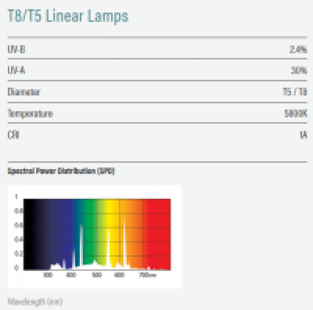 T5 Bird Lamp 2,4% UVB 14 Watt