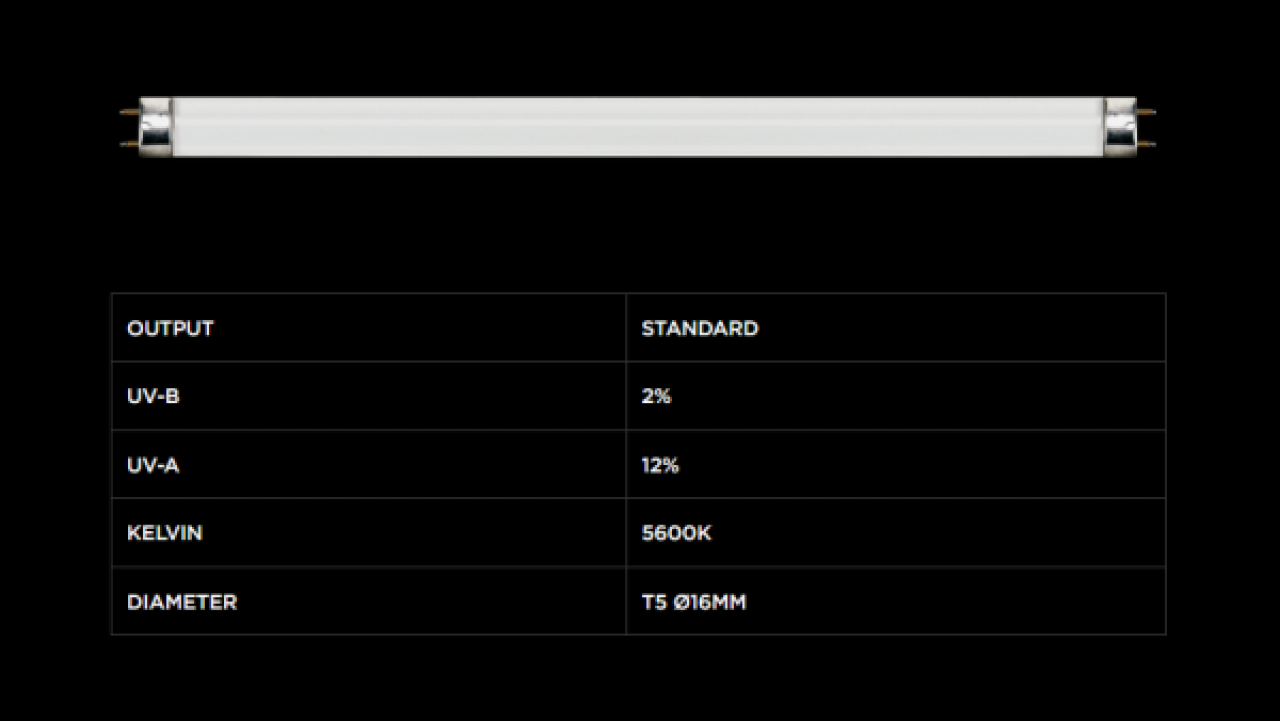 T8 Natural Sunlight 2% UVB