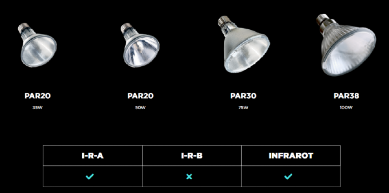 Halogen Heat Lamp