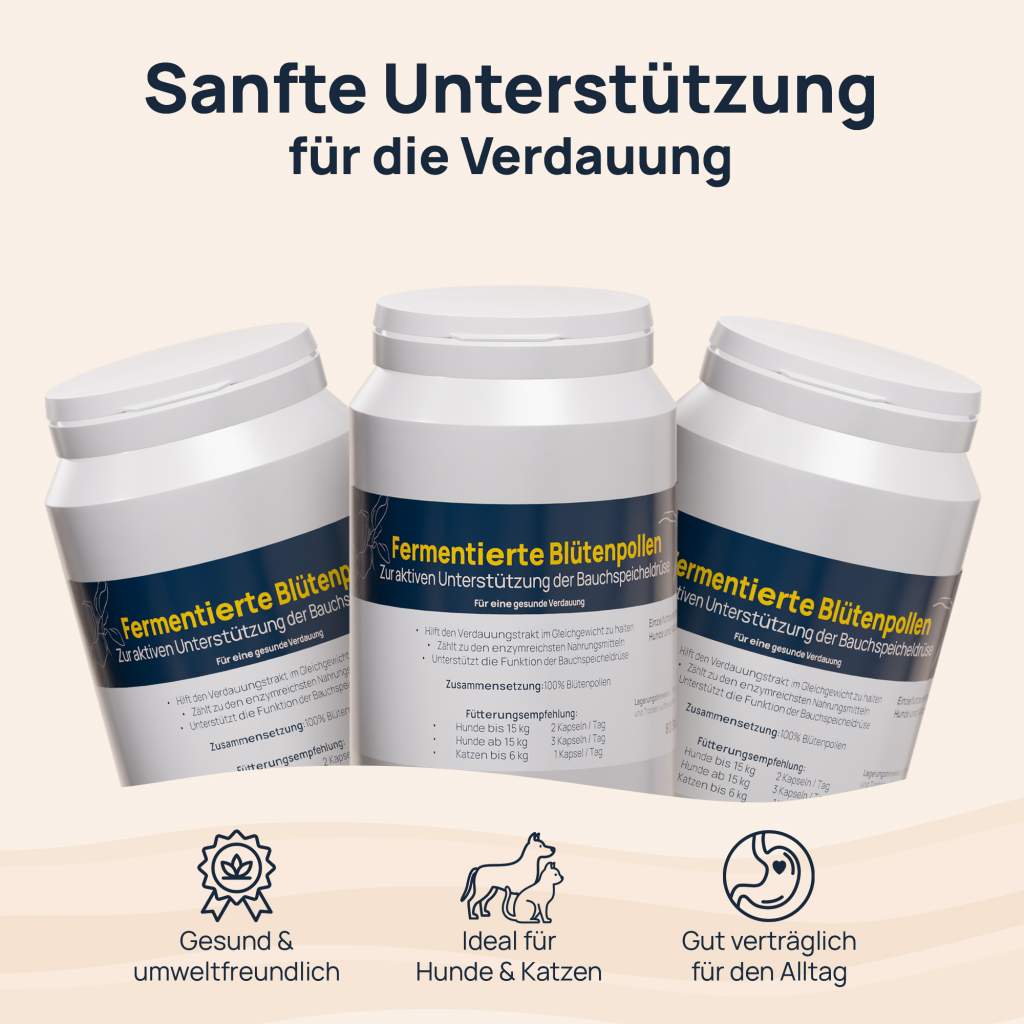 Fermentierte Blütenpollen