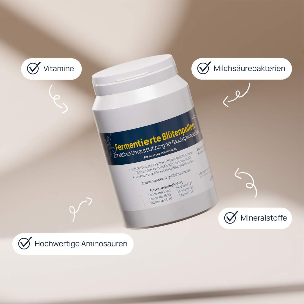 Fermentierte Blütenpollen