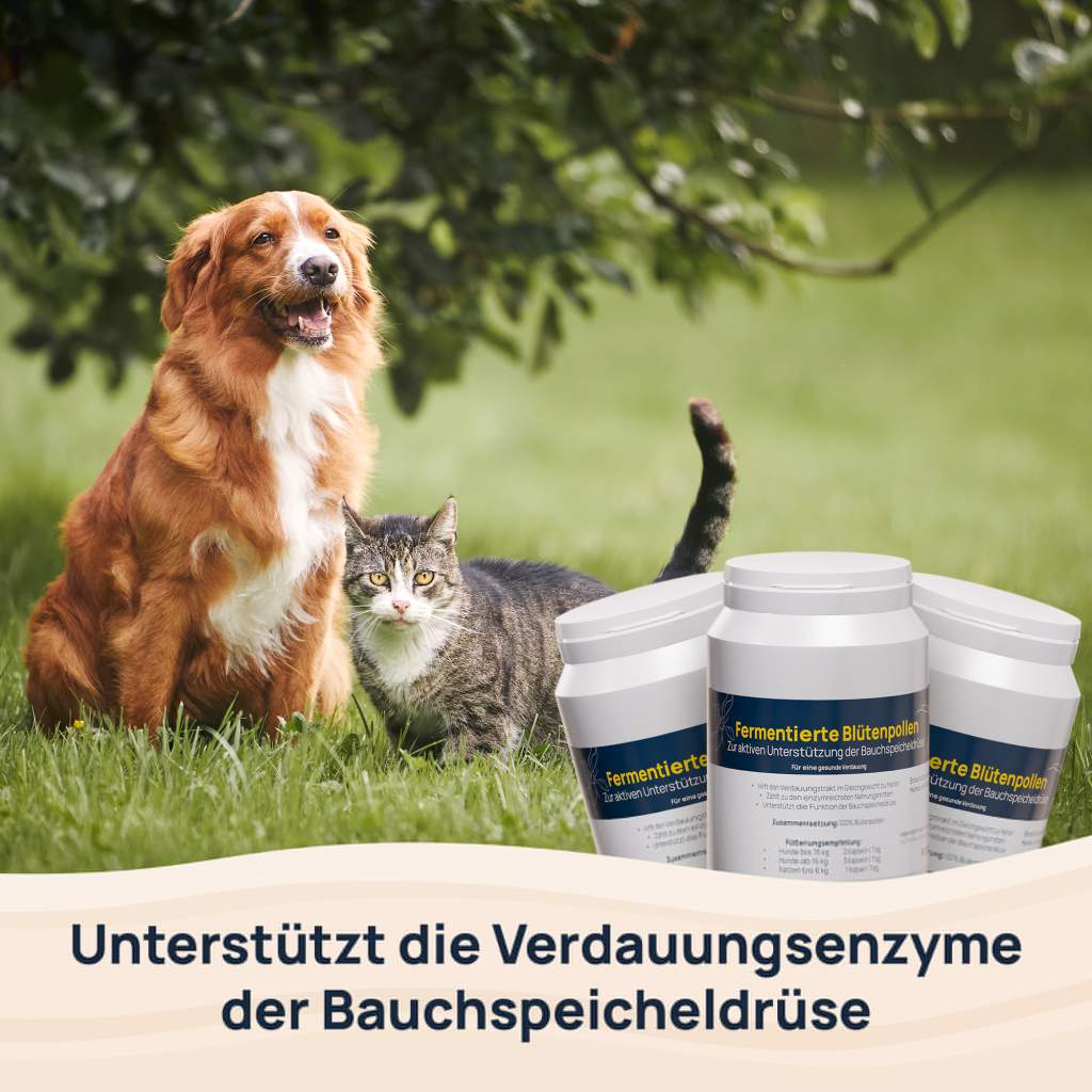 Fermentierte Blütenpollen