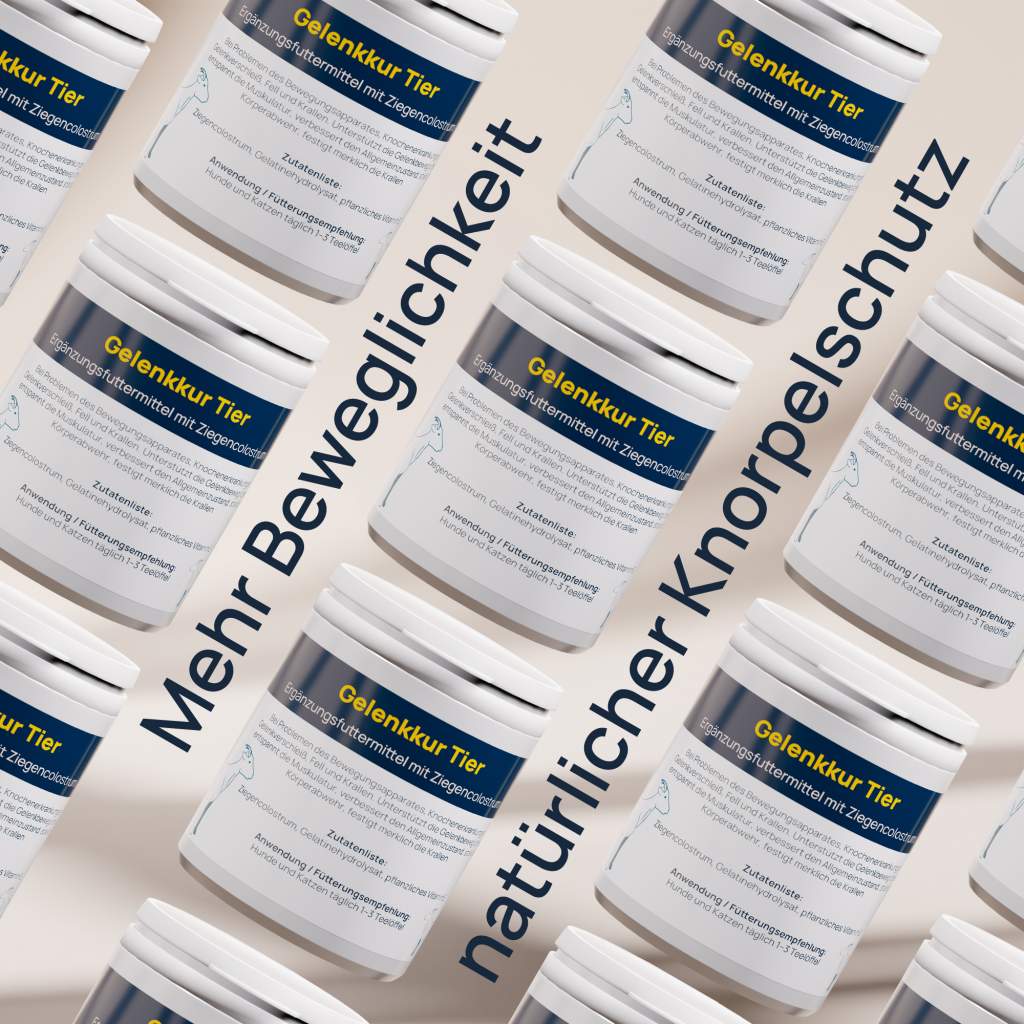 Gelenkkur