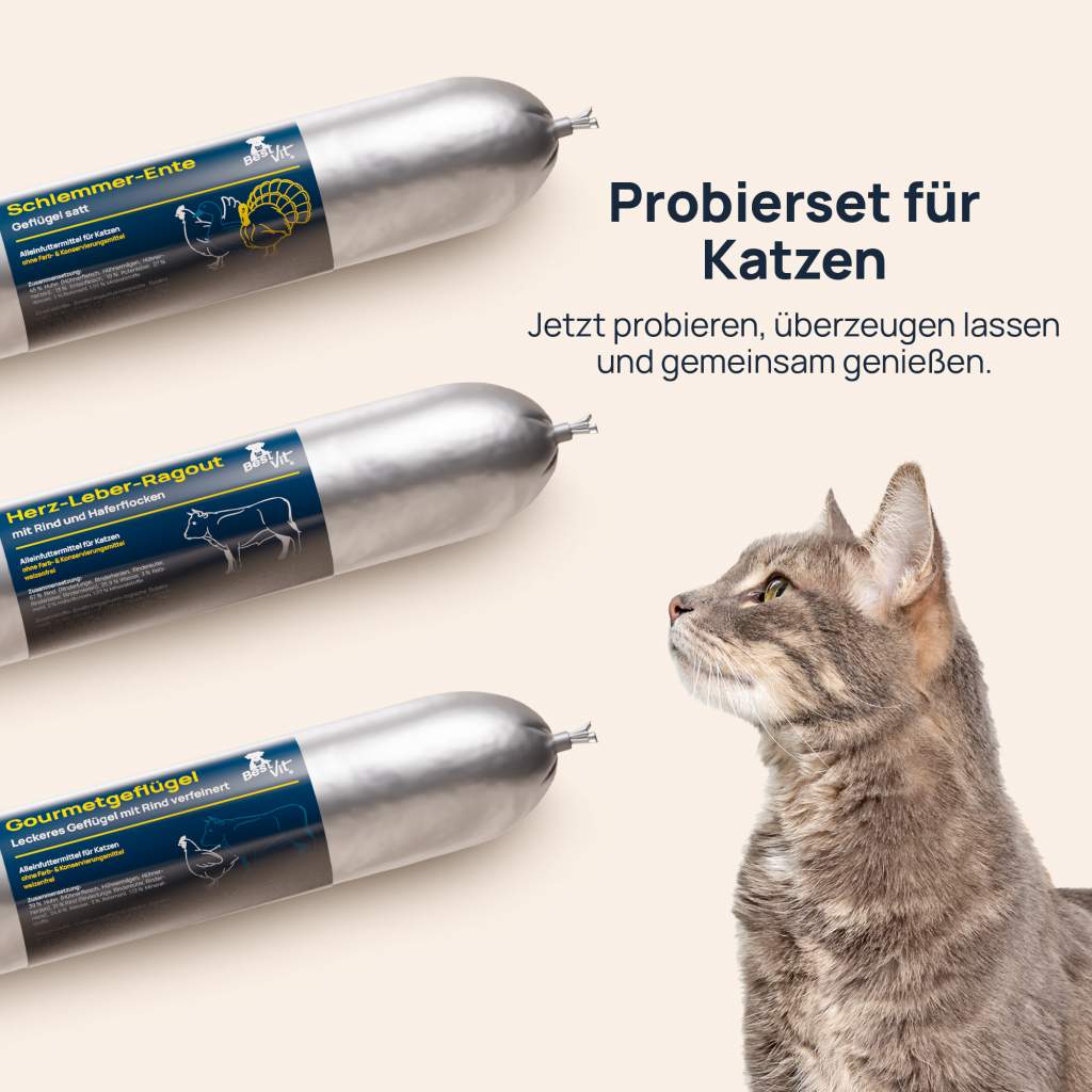 Probierset Katze