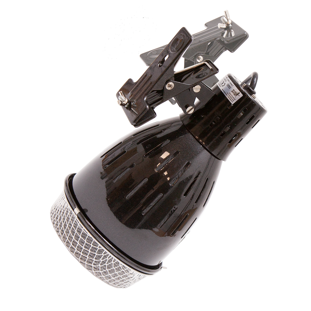 SOLAR RAPTOR® ClampLamp
