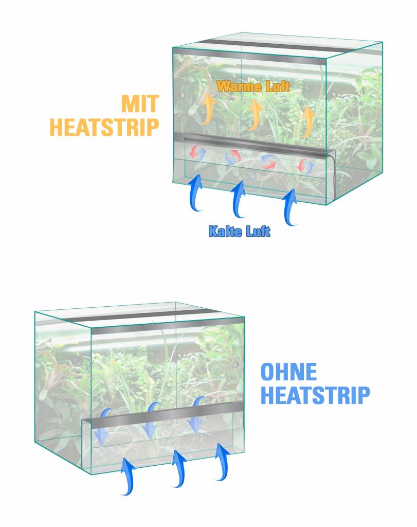 SOLAR RAPTOR® HeatStrip II