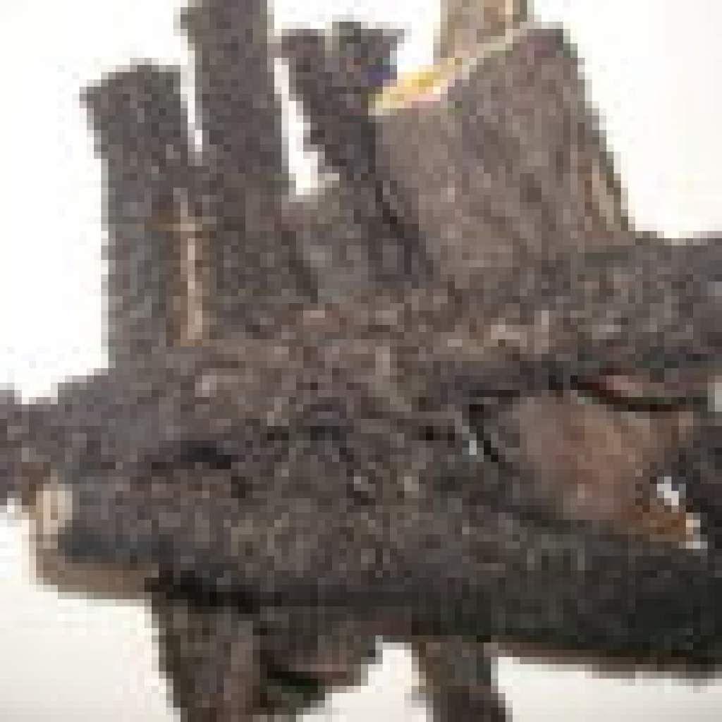 Rinderpansen getrocknet und Entkeimt von Rindern 0,5 kg