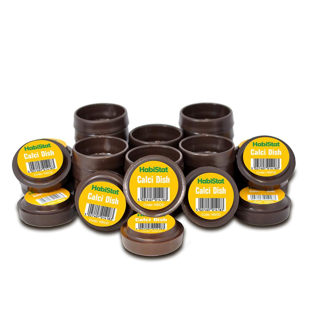 HabiStat Calci Dish Display Jar Nachfüllpackung, 40 Töpfe
