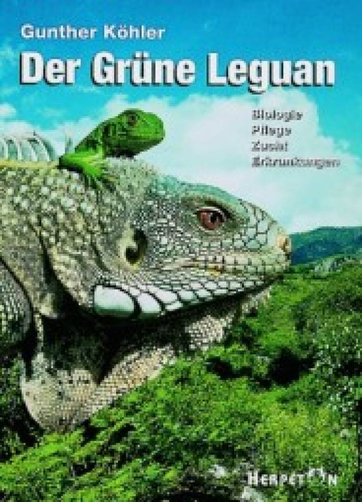 Der Grüne Leguan