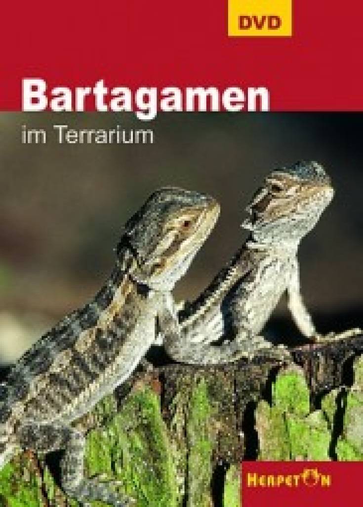 DVD - Bartagamen im Terrarium