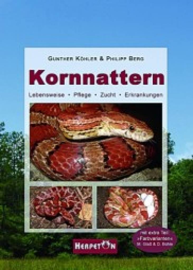 Kornnattern