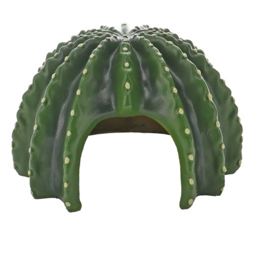 Cactus Home