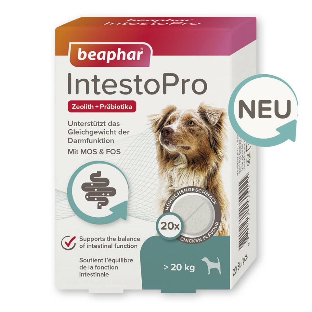 IntestoPro Tabs für große Hunde, 20 Stück