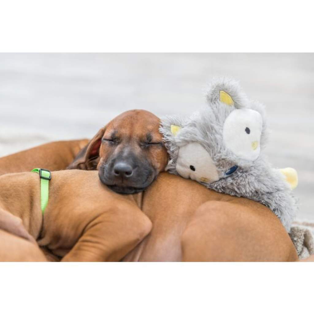 Junior Schlenkertier