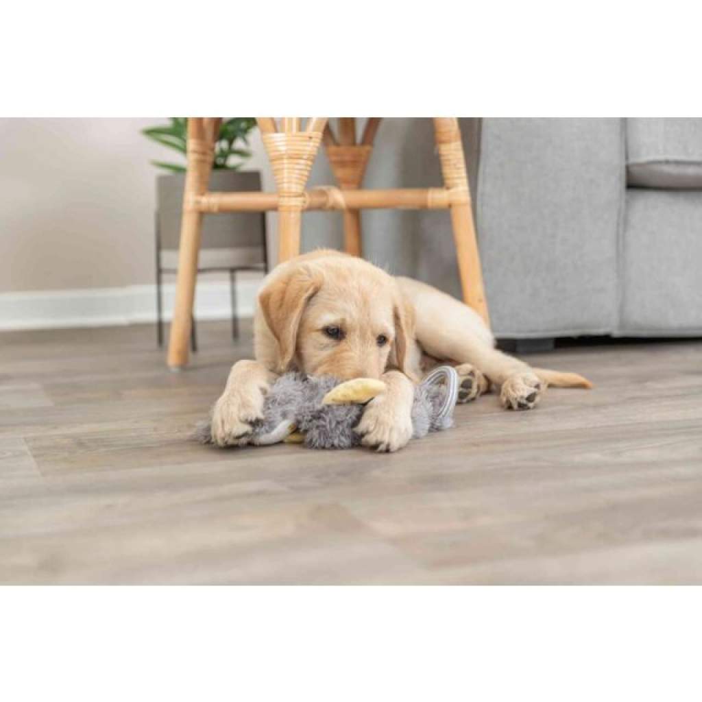 Junior Schlenkertier