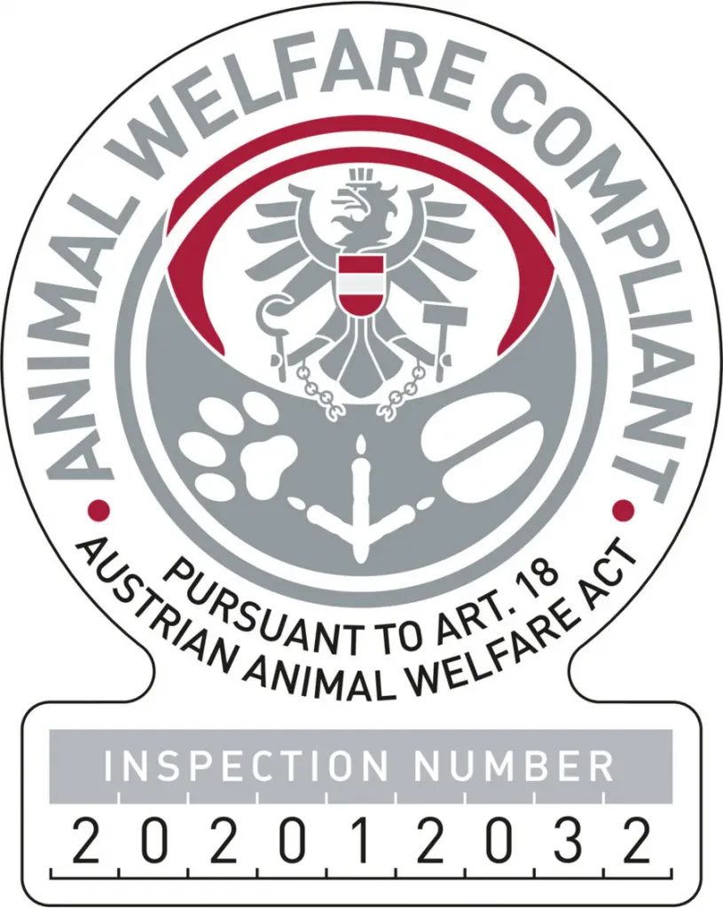Snack-Würfel