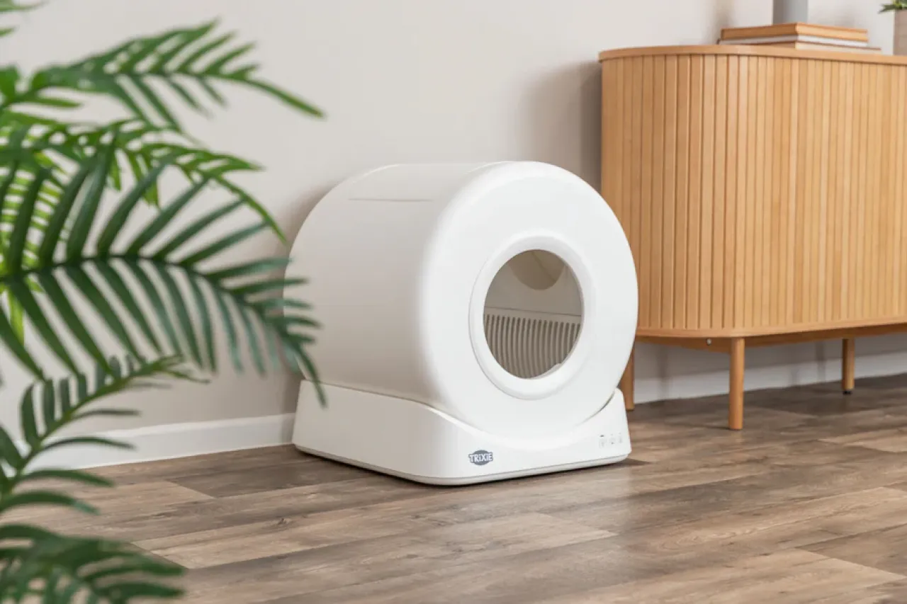Smarte Katzentoilette