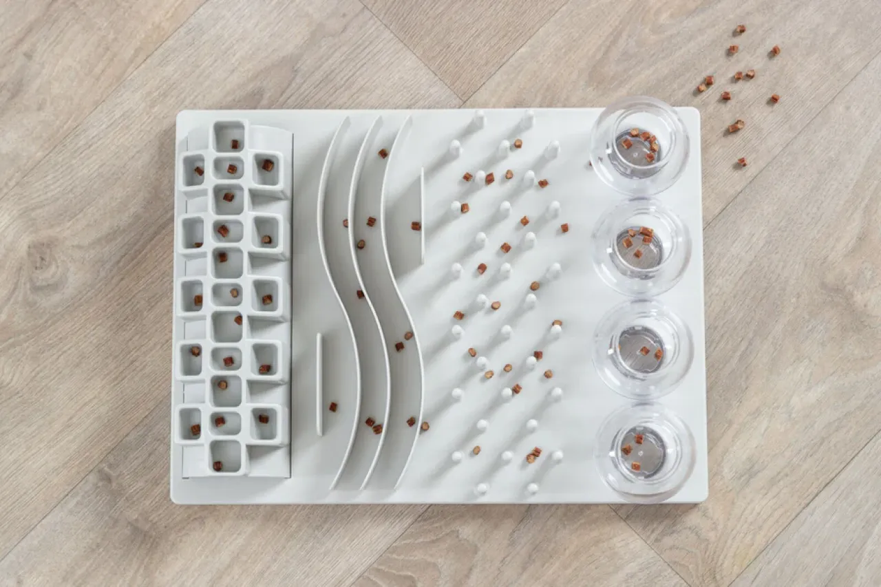 Fun Board Strategiespiel