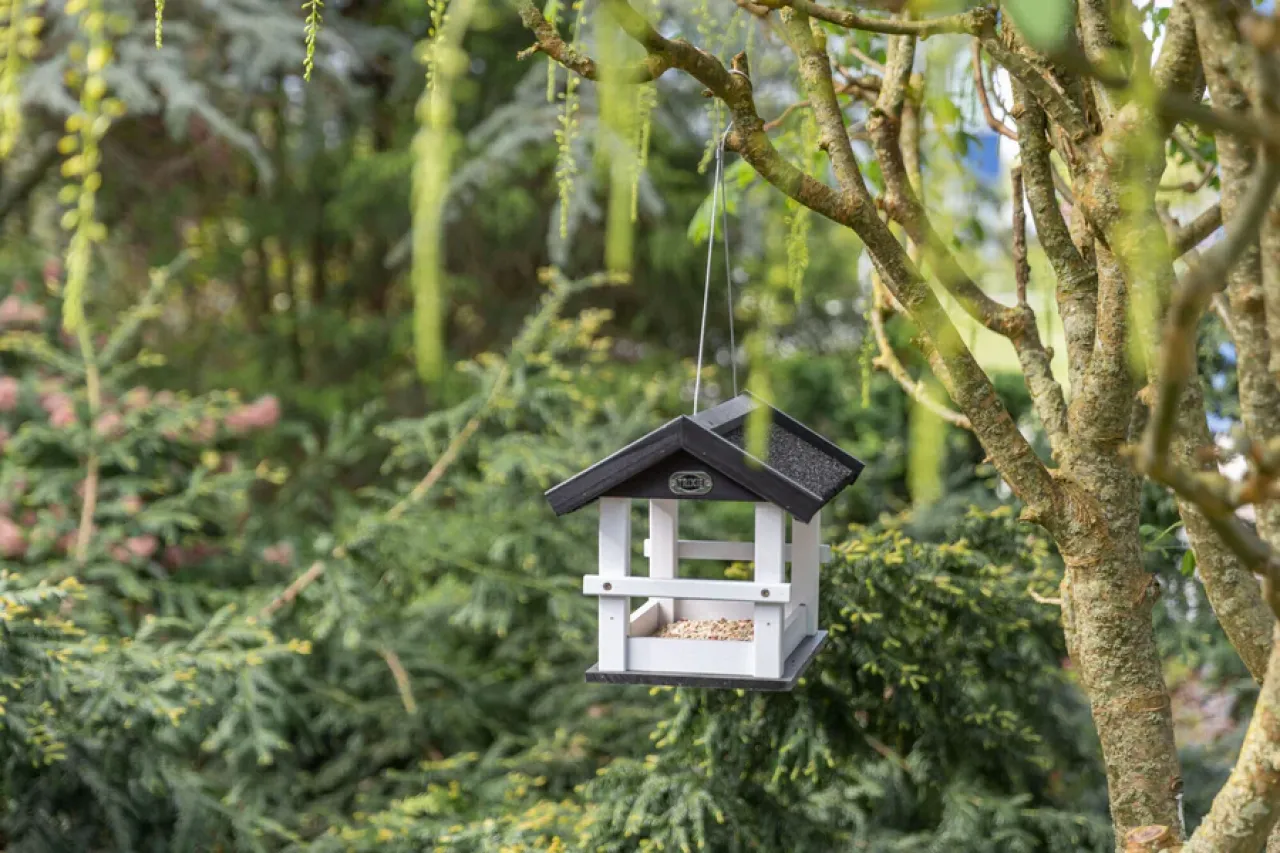 Vogelfutterhaus zum Aufhängen
