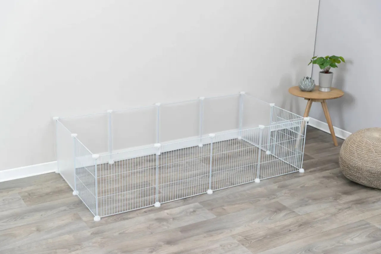 Indoor Freilaufgehege