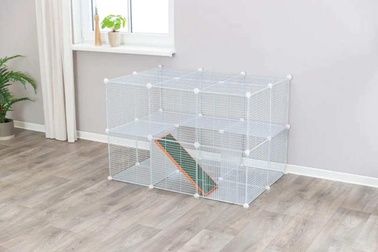 Indoor Freilaufgehege