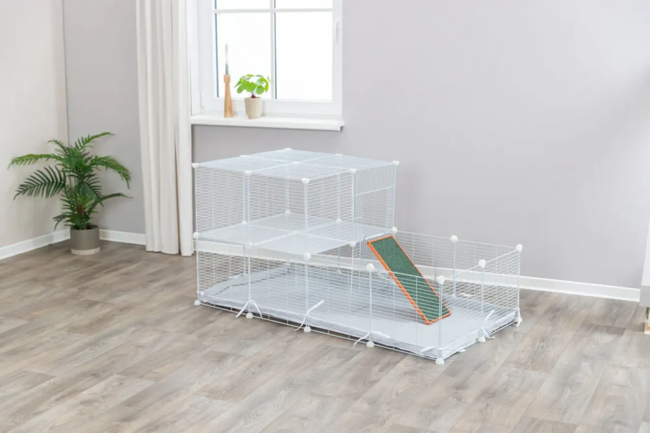 Indoor Freilaufgehege