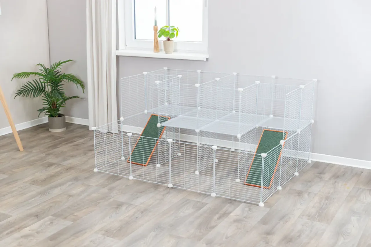 Indoor Freilaufgehege
