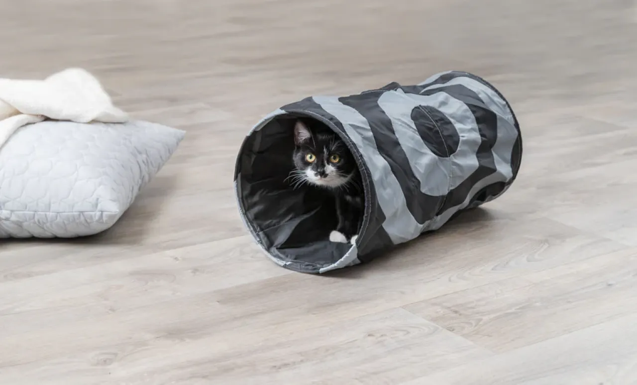Spieltunnel