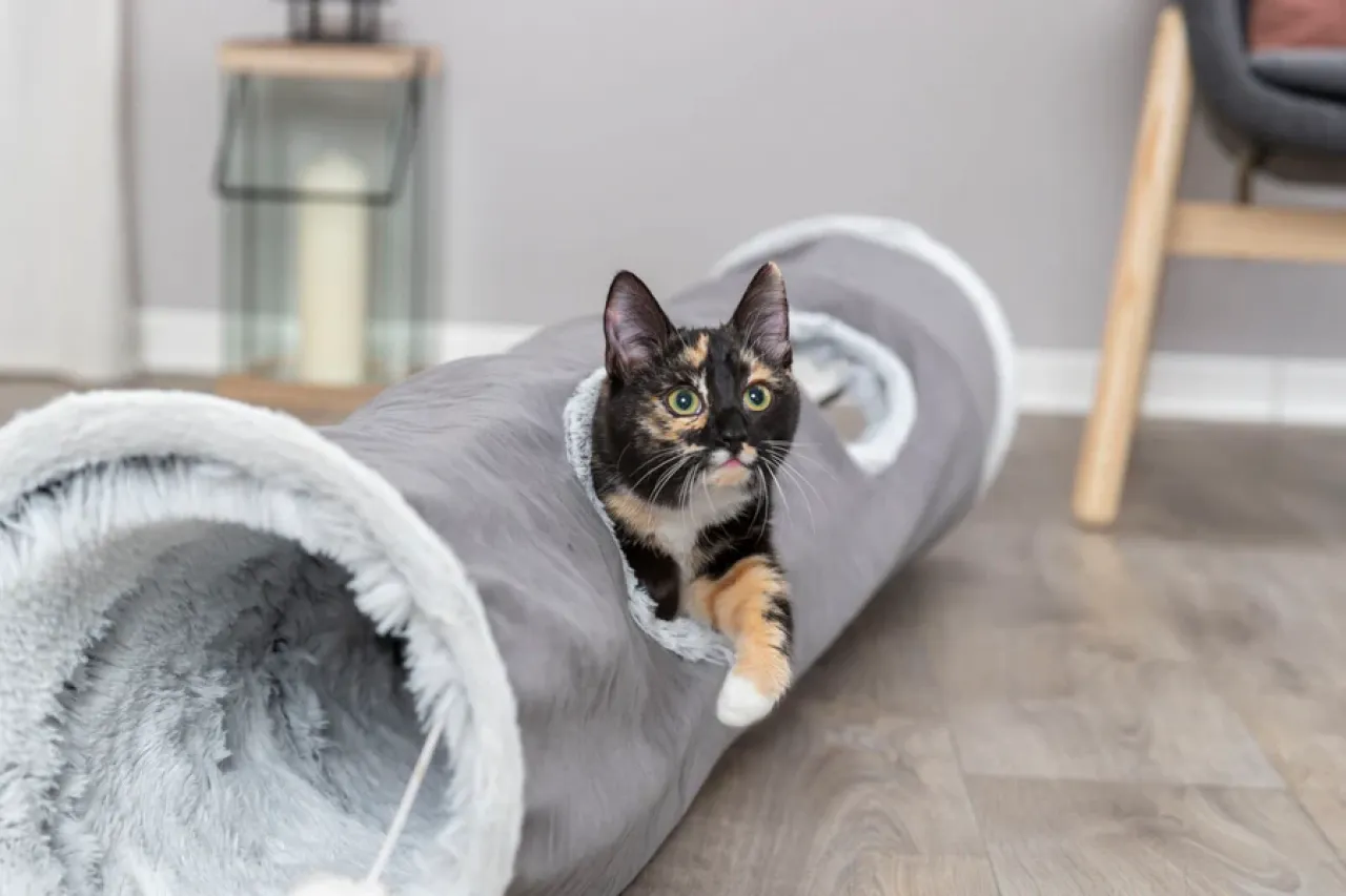 Spieltunnel Harvey