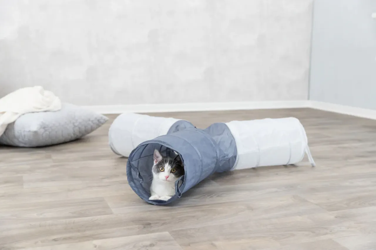 Spieltunnel