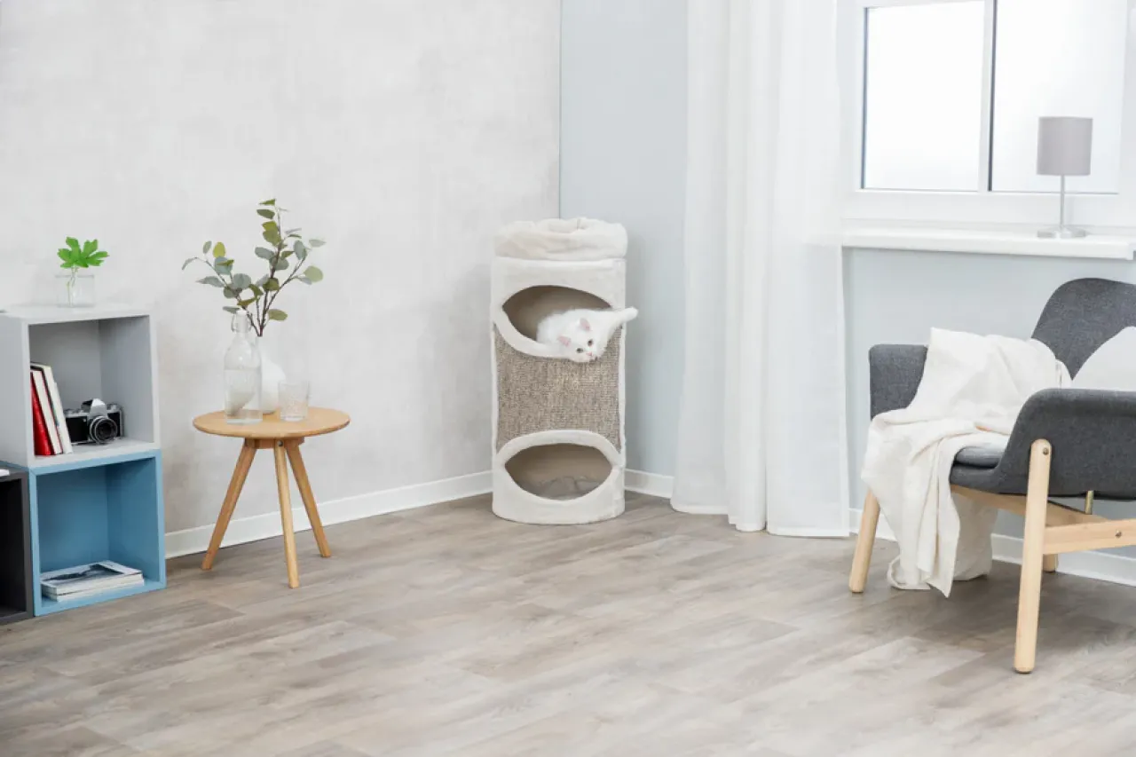 Cat Tower Gracia