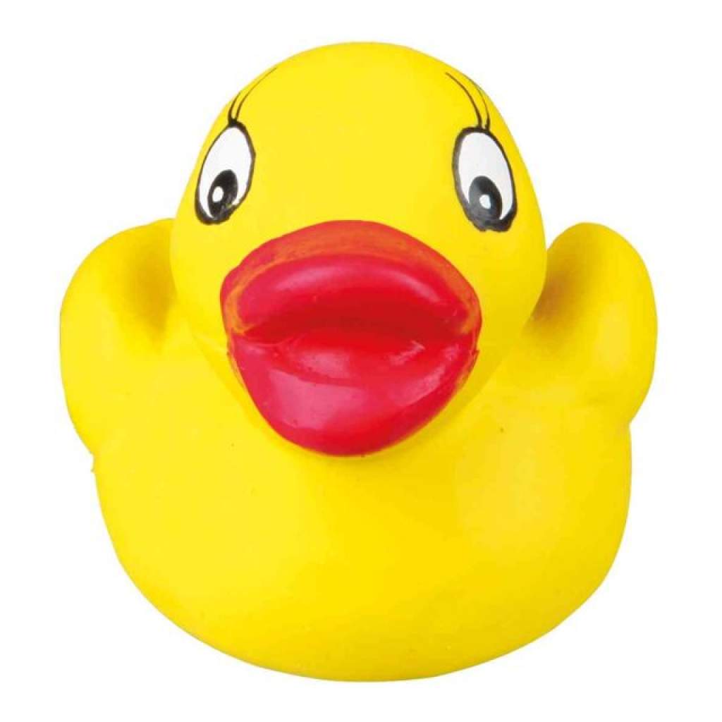 Baby-Zoo im Display, Latex