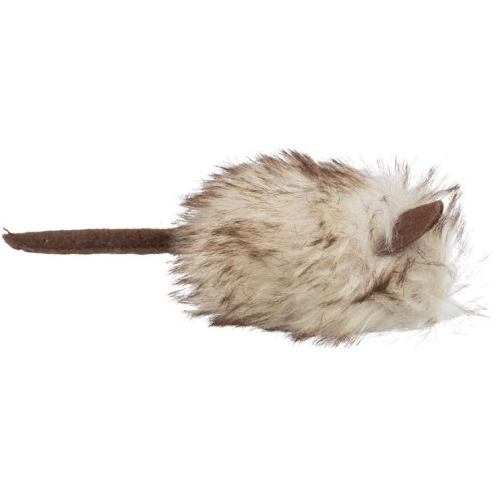 Maus