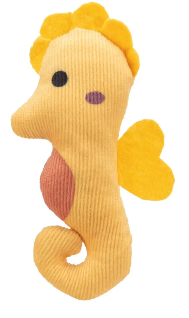 Seepferdchen