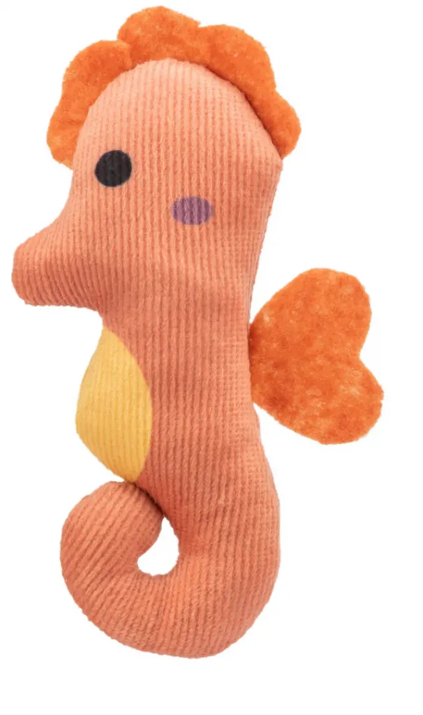 Seepferdchen