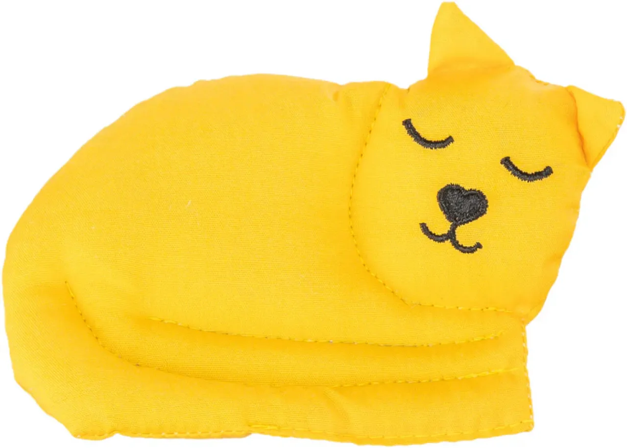 Katze
