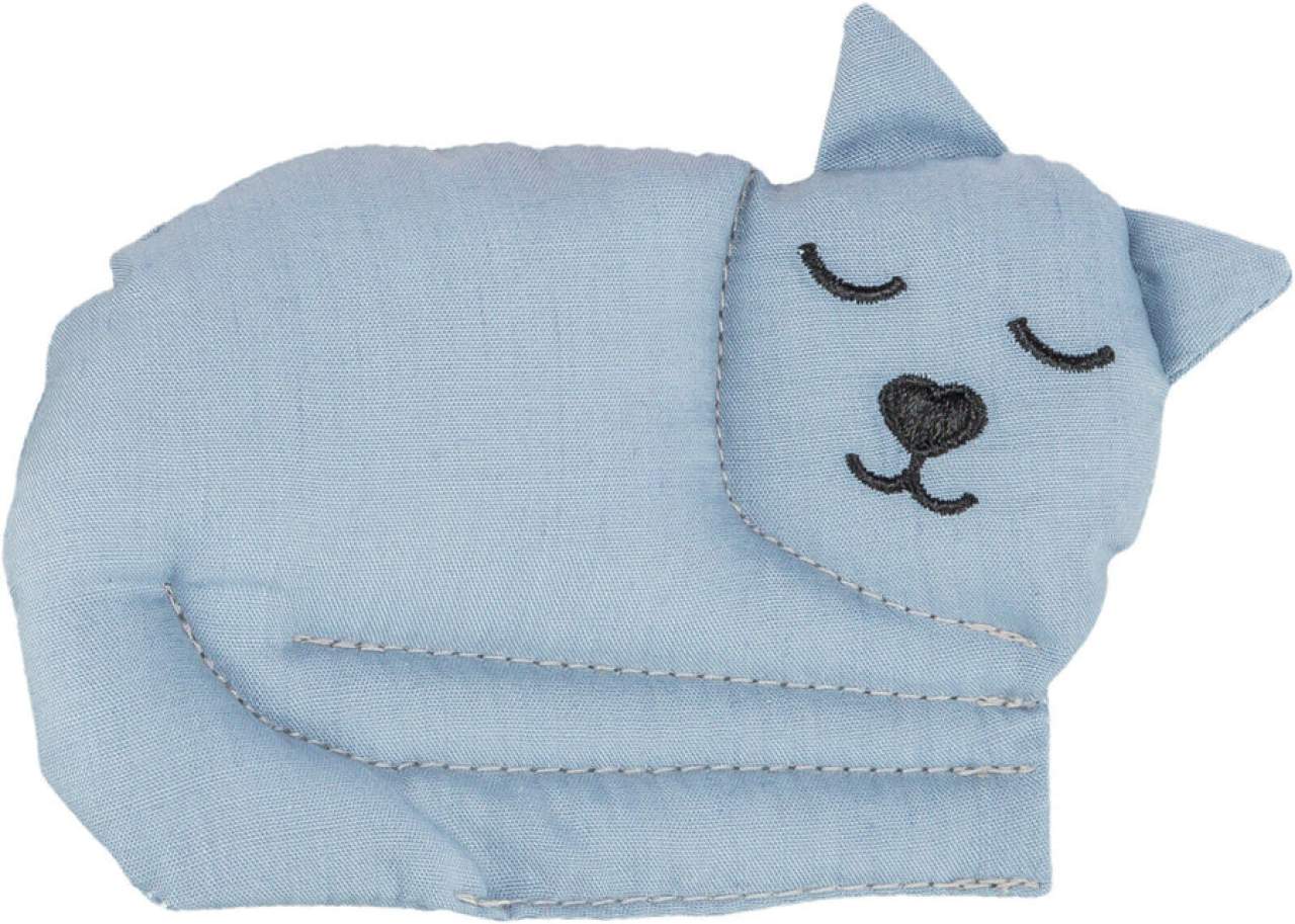 Katze