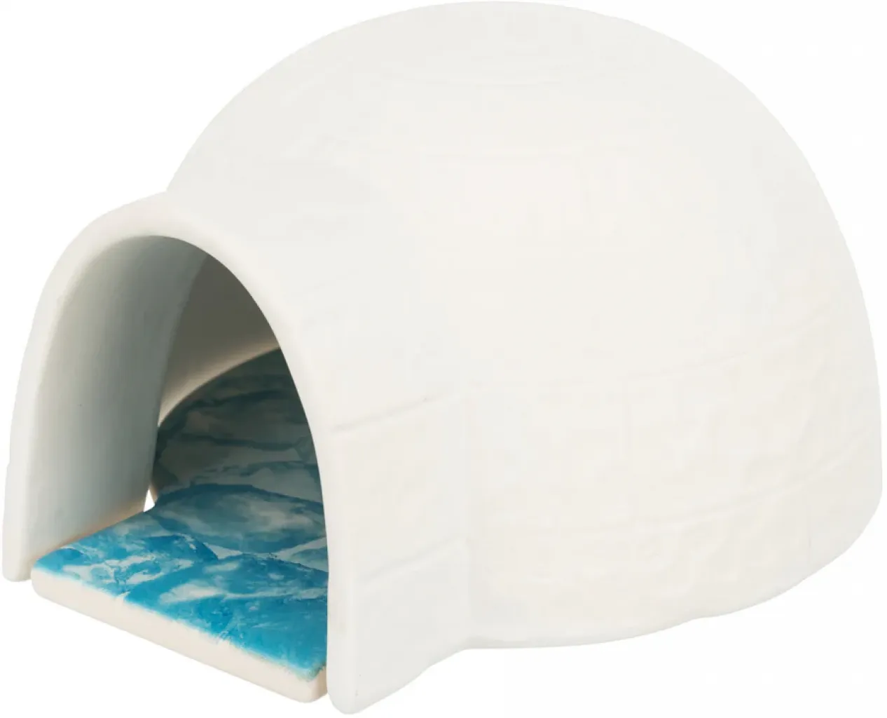 Iglu mit Kühlplatte