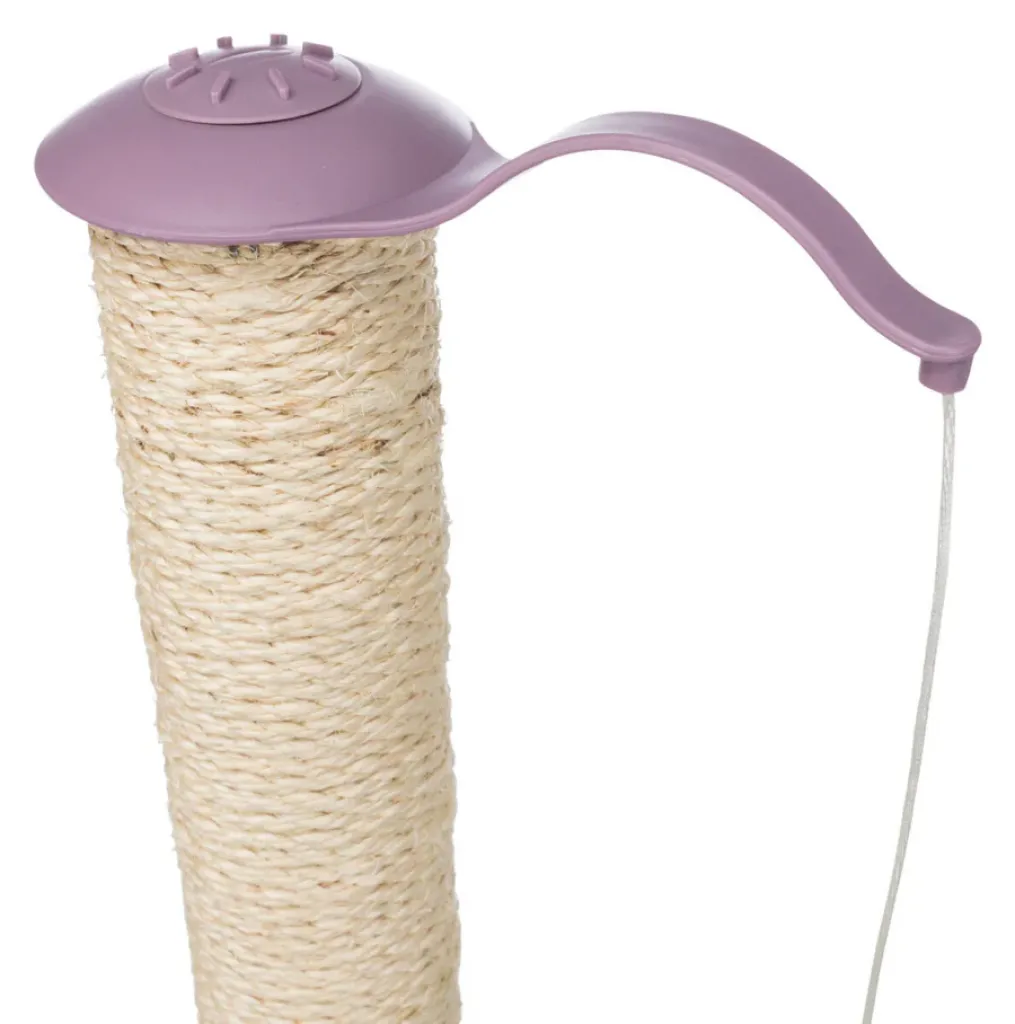 Junior Kratzpfote mit Stamm
