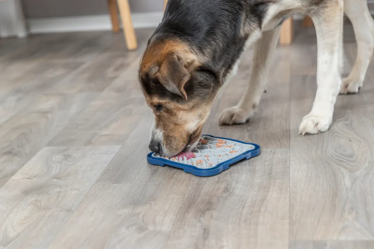 Lick’n'Snack Schleckplatte