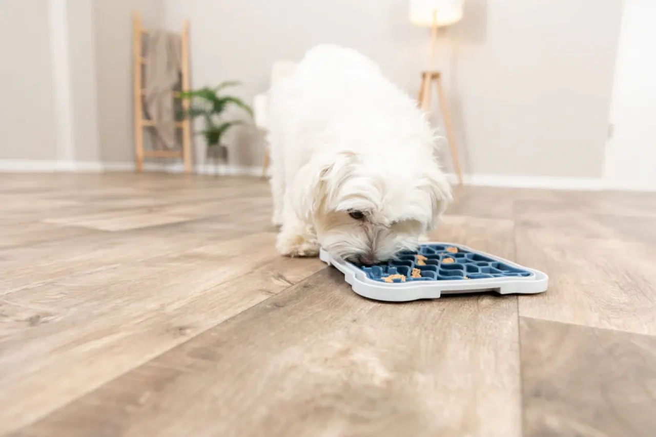 Lick’n'Snack Schleckplatte