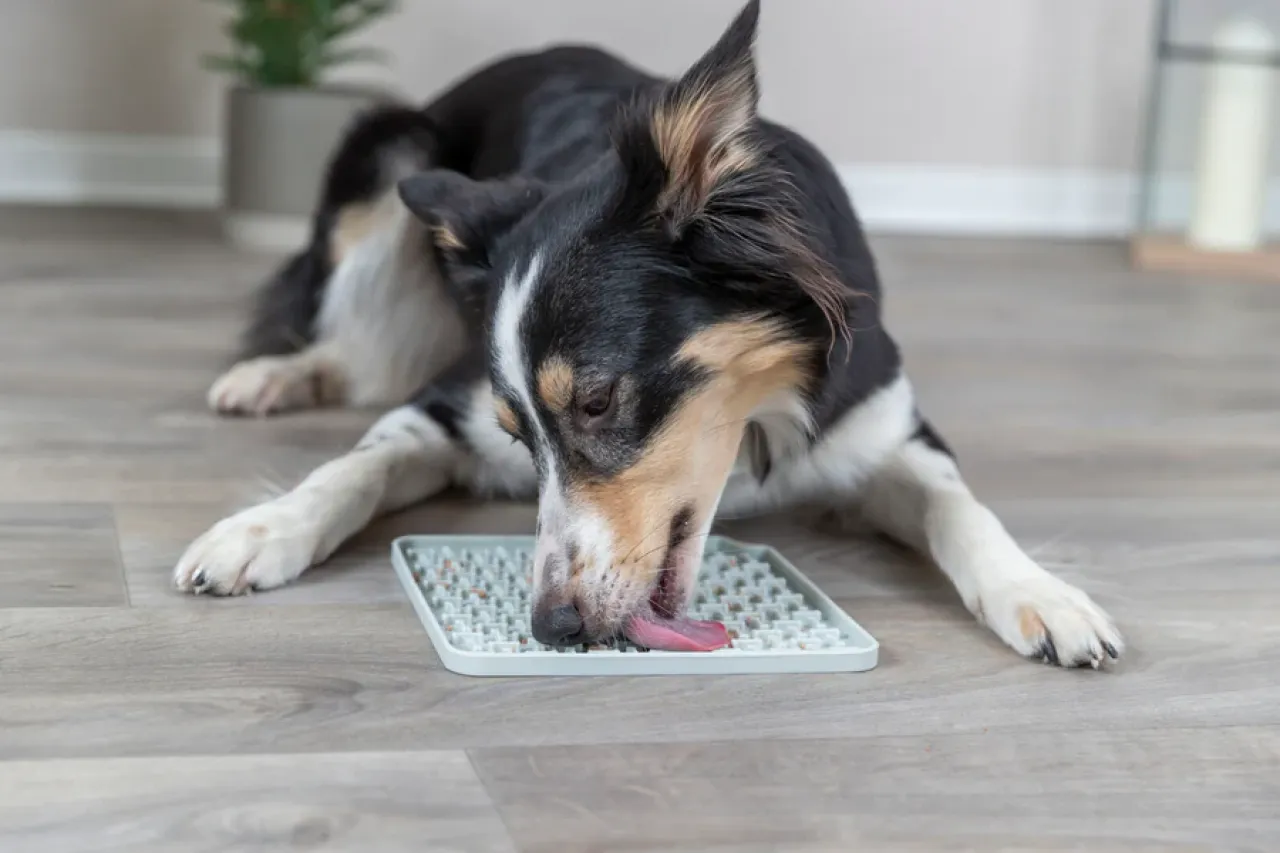 Lick’n'Snack Matte