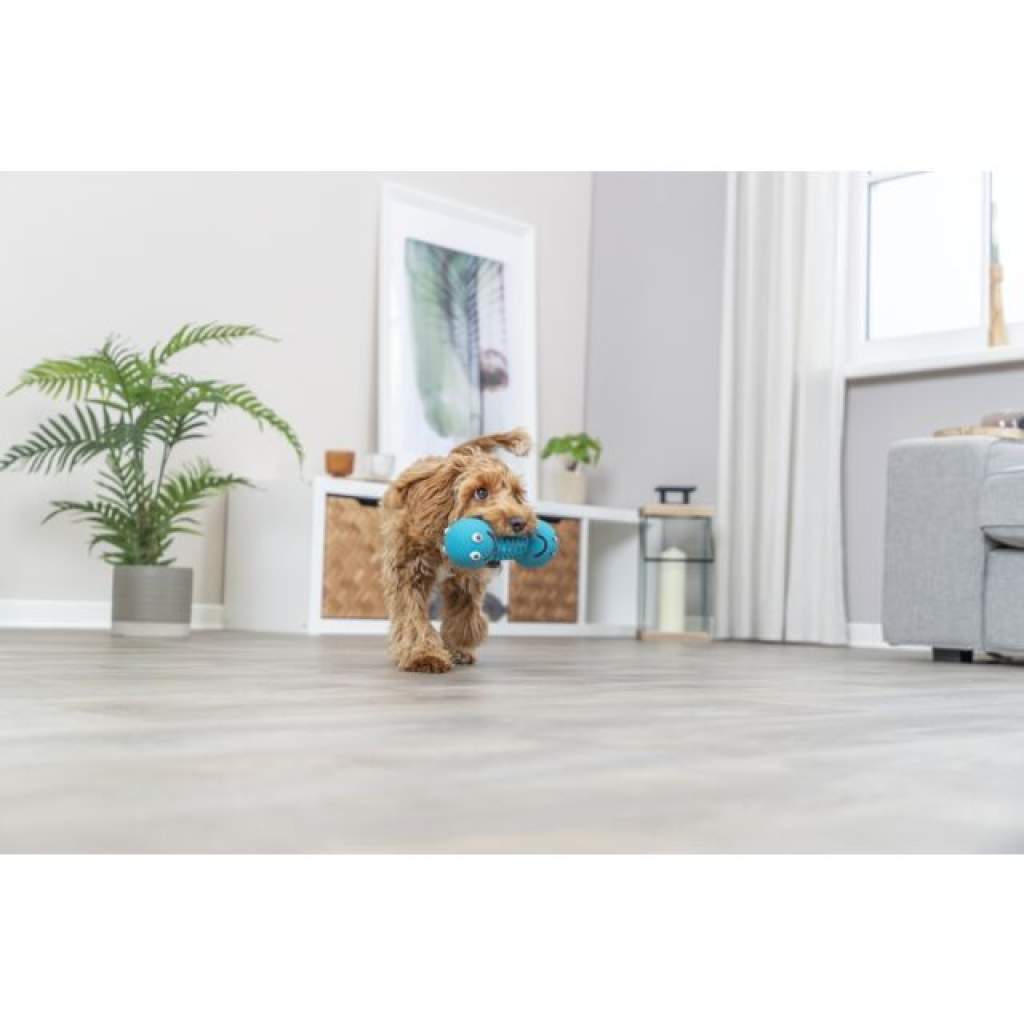 Smiley-Hantel, Latex