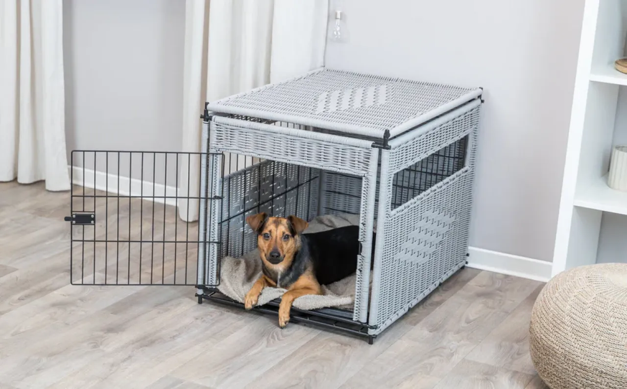 Home Kennel