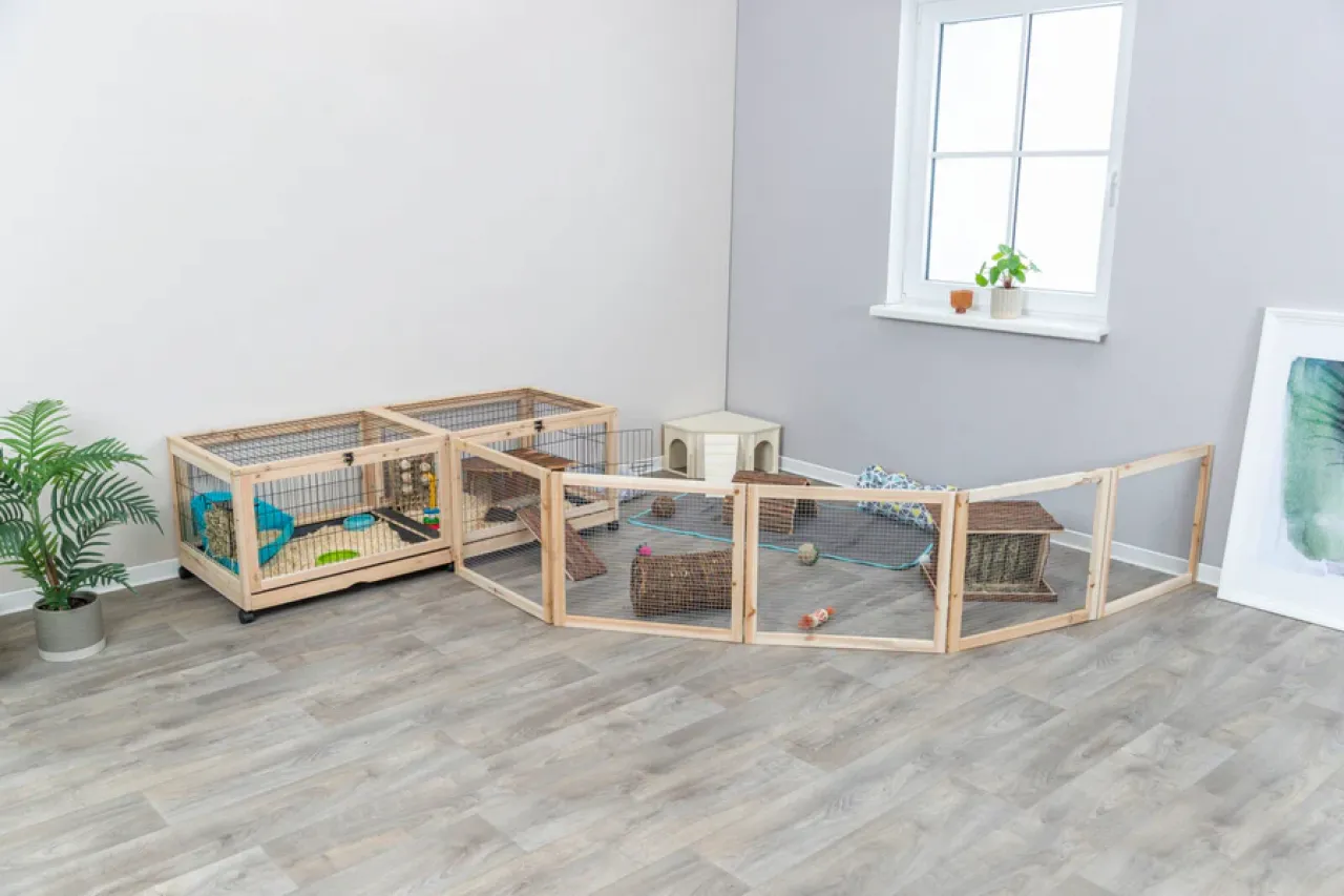 Indoor Gehege
