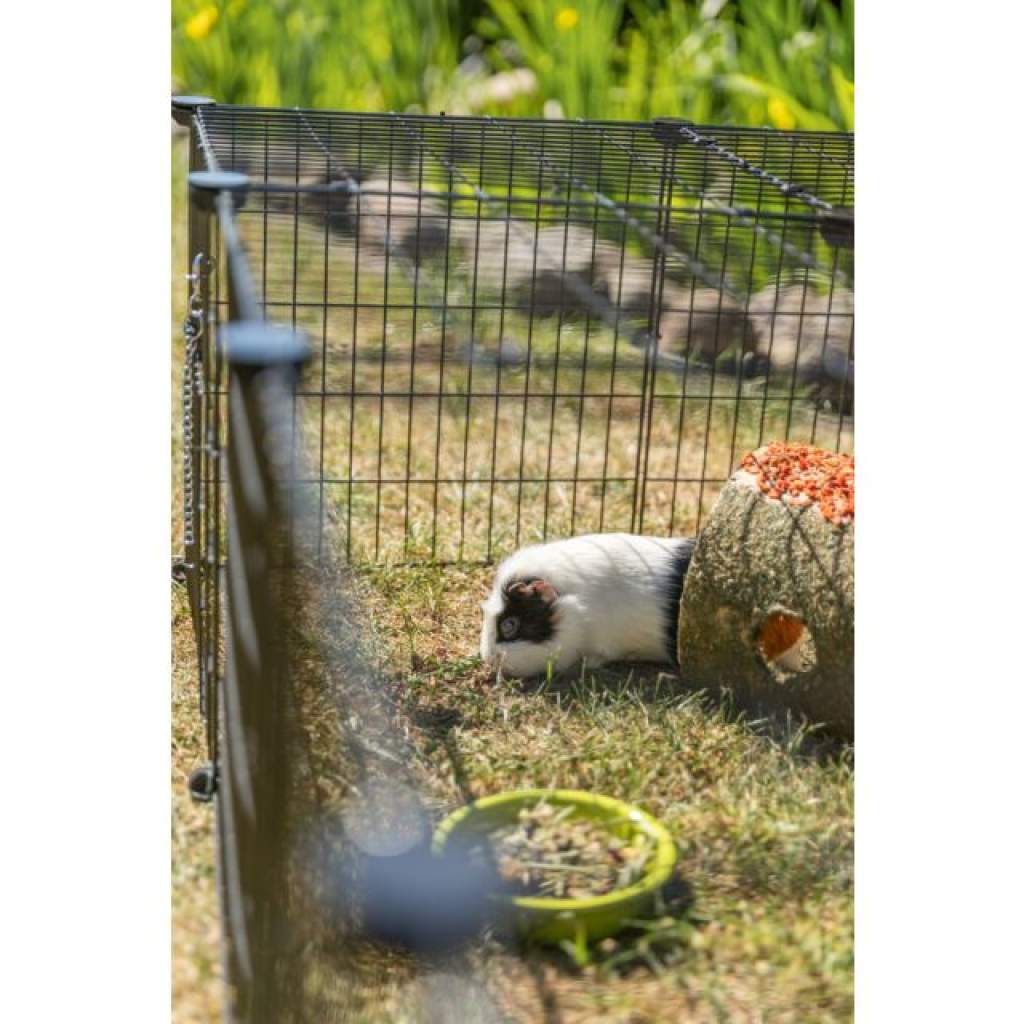 Außenlauf mit Überdachung