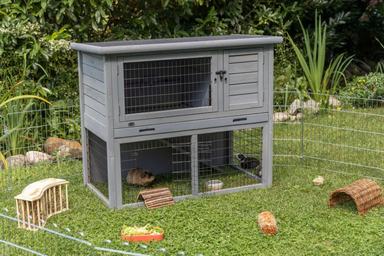 Kleintierstall mit Freilaufgehege