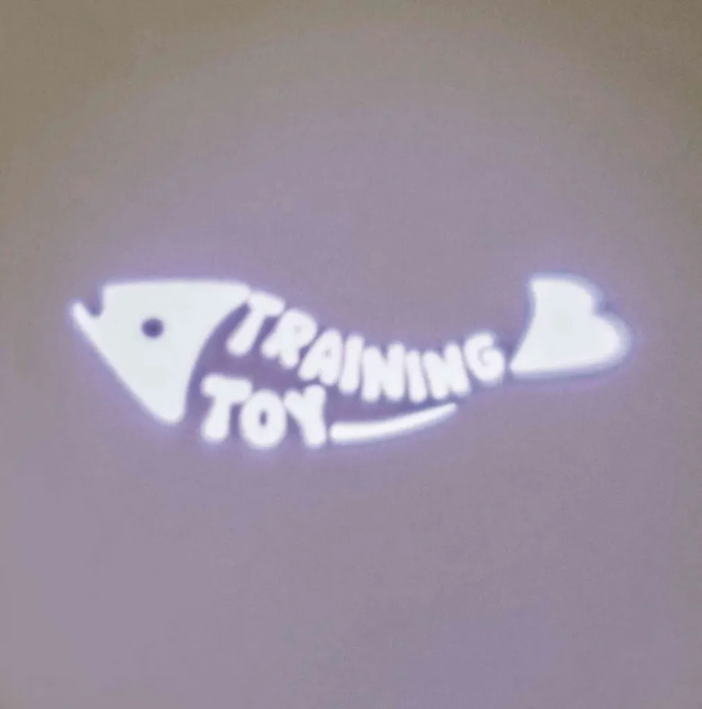 LED Pointer Catch the Light, Fisch