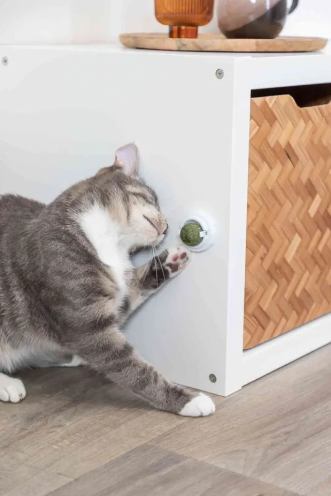 Katzenminze Ball mit Halterung