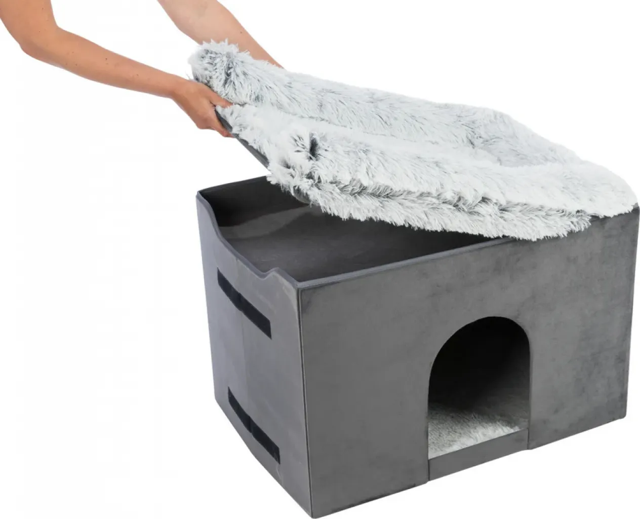 Höhle Harvey mit Treppe